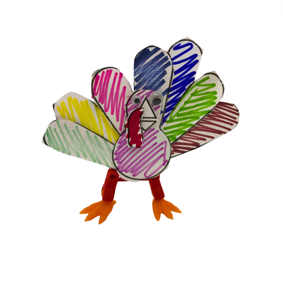 STEM Kits - Turkey Racer